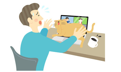 猫に邪魔されるオンライン会議