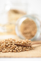 Whole wheat seedl on white background. Natural product, healthy baking ingredient