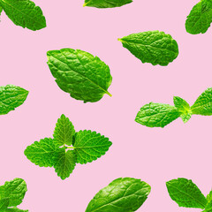 Seamless pattern of fresh mint leaves on pink background for packaging design. peppermint abstract background.