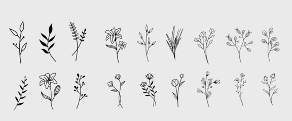 Floral Line Art Collection – Hand Drawn Botanical Elements