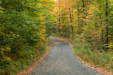 Fototapeta na wymiar Rural Road in Autumn Forest
