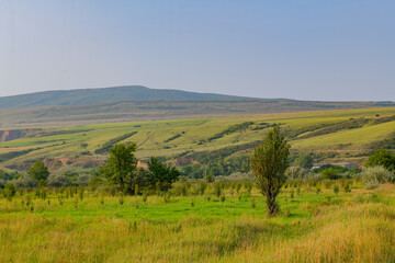 Obraz premium spacious green fields and mountains in georgia in summer