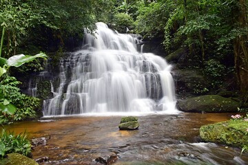 beautiful waterfall in the forest national park