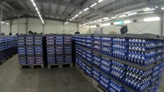 A warehouse of chicken products at a poultry farm. Factory for the production of chicken eggs. Sorting shop . Agro-industrial company.