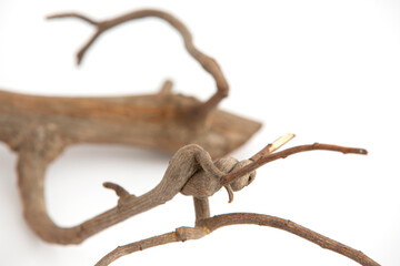dry twigs laid on a white background
