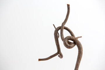 dry twigs laid on a white background