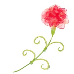 水彩手書き風のカーネーションのイラスト