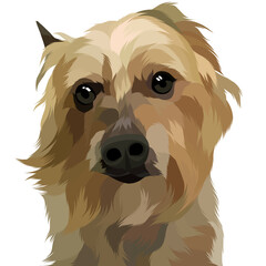 Dog vector colorful illustration