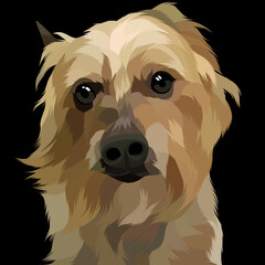 Dog vector colorful illustration
