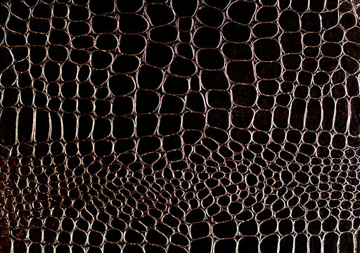 Abstract background texture of brown crocodile skin.