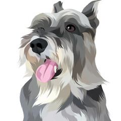 Dog vector colorful illustration
