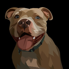 Dog vector colorful illustration