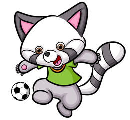 The happy raccoon is playing the soccer in the field