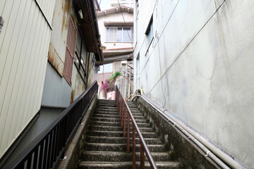 Fototapeta premium 熱海市 階段