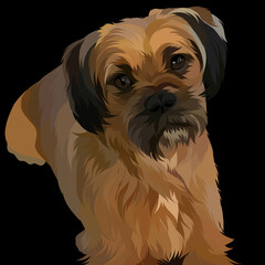 Dog vector colorful illustration