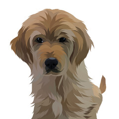 Dog vector colorful illustration