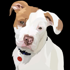 Dog vector colorful illustration