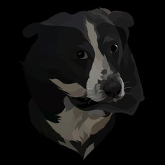 Dog vector colorful illustration