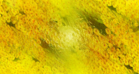 Abstract yellow background.. yellow banner