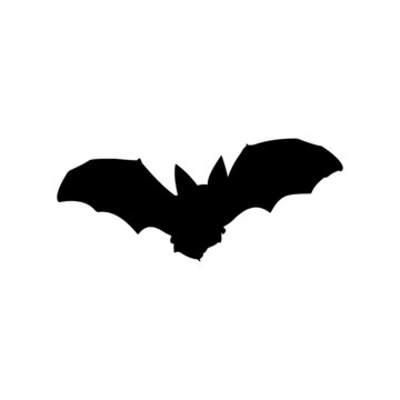 silhouette of a bat on a white background.