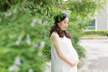 young pregnant woman in the park