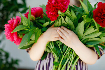 Close-up of huge bouquet of blossoming red and pink peony flowers holding in hands of little toddler girl. Close up of blooming flower arrangement. Child with peonies for mother or birthday.