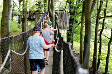 Group of kids boys walking on high tree-canopy trail with wooden walkway and ropeways on...