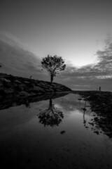 Blurred nature background of the morning sun by the sea, a beautiful golden light, among the trees, rocks and local fishing boats, the beauty of nature during the day.