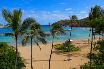 Empty beach in the Hanauma Bay Nature Preserve on O'ahu island in Hawaii, United States - obrazy, fototapety, plakaty