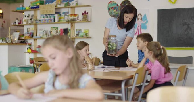 Female Teacher with kids in biology class at elementary school conducting biology or botanical scientific experiment about sustainable Growing plants. Learning about plants in a glass ja