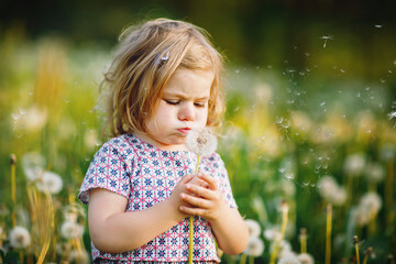 Adorable cute little baby girl blowing on a dandelion flower on the nature in the summer. Happy...
