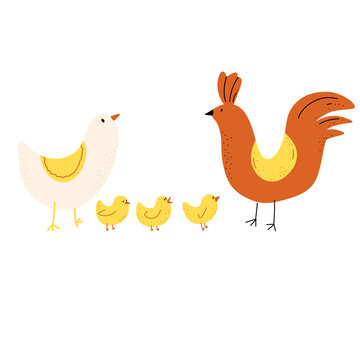 Vector illustration of chicken, hen, rooster in cartoon doodle style