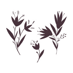 Plants silhouette collection on white background, hand drawn flowers