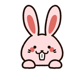 Obraz premium 出っ歯のかわいいウサギ ピンク