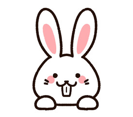 出っ歯のかわいいウサギ　白