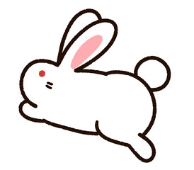 飛び跳ねるかわいいウサギ　白
