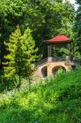 japanese bridge in the park