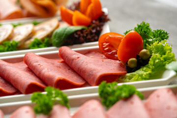 Platter of fresh meat cold cuts with vegetables.