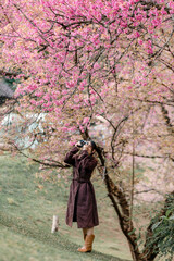 girl with bright pink cherry blossoms in winter