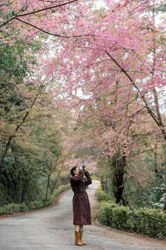 girl with bright pink cherry blossoms in winter