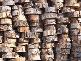 Birch firewood. Log cuttings stacked for drying.