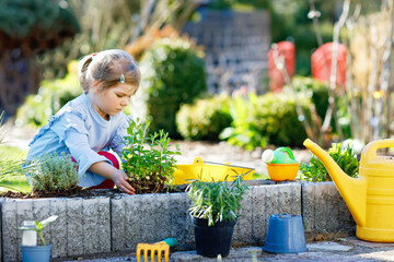 Adorable little toddler girl holding garden shovel with green plants seedling in hands. Cute child learn gardening, planting and cultivating vegetables herbs in domestic garden. Ecology, organic food.