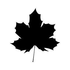 The silhouette of a maple leaf. Autumn period. Vector illustration isolated on a white background for design and web.