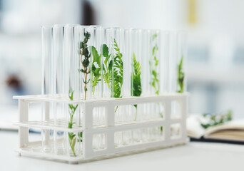 The results of this experiment are going to be interesting. Still life shot of test tubes containing different plant species in a laboratory.