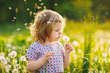 Adorable cute little baby girl blowing on a dandelion flower on the nature in the summer. Happy healthy beautiful toddler child with blowball, having fun. Bright sunset light, active kid.