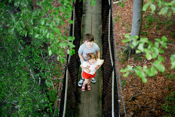 Preteen kid boy and little preschool girl walking on high tree-canopy trail with wooden walkway and...