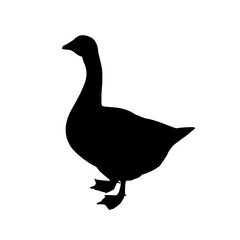 Silhouette of a goose black on white. Vector sign