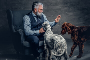 Elderly man with his purebred dogs sitting on armchair