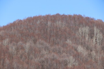 blue sky and winter mountains