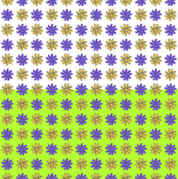 Chamomile floral vector seamless pattern. Hand drawn black ink brush stroke contour, daisy meadow flowers in blue yellow colors